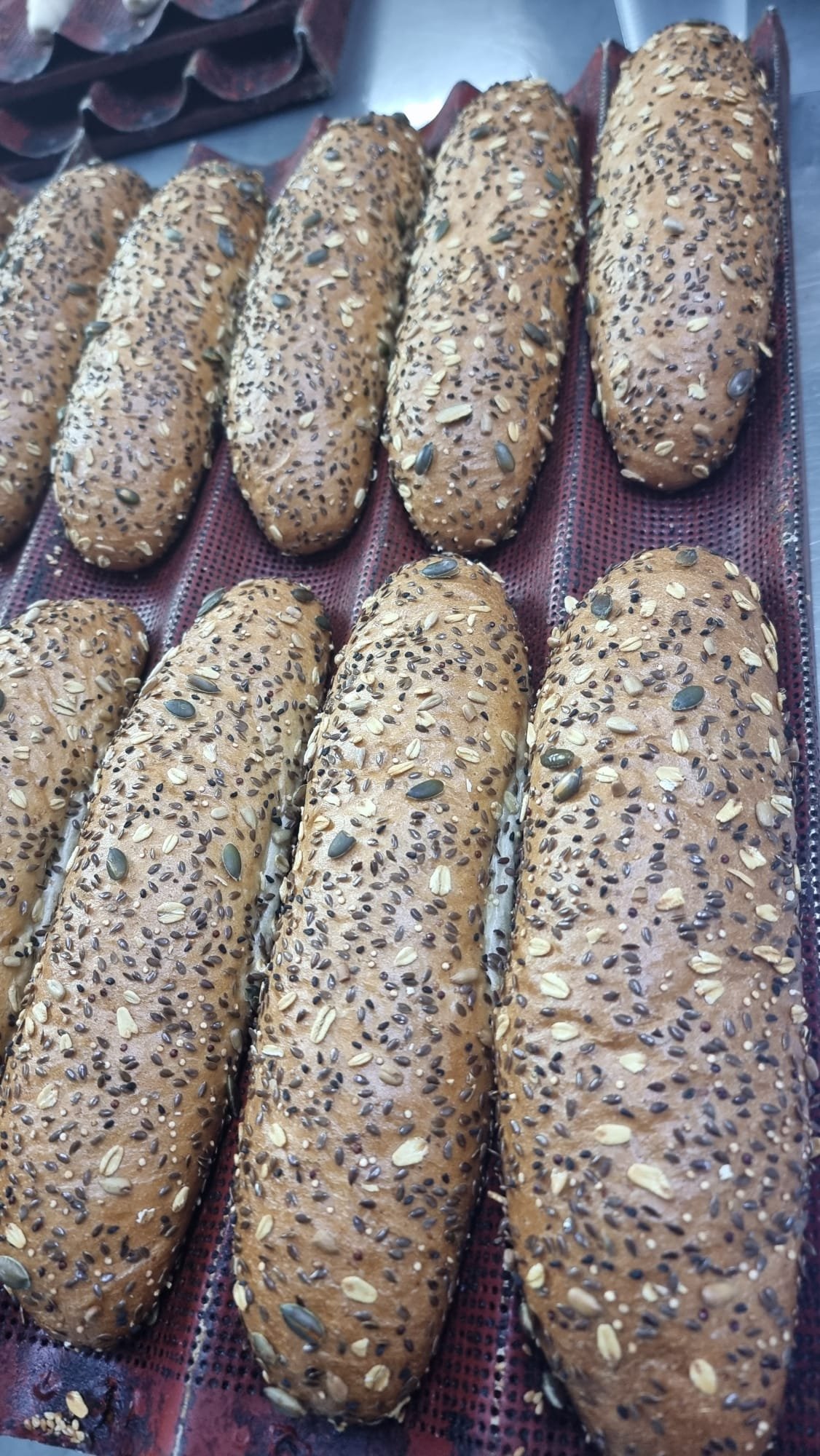 לחמניה דגנים